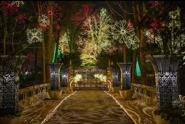 Christmas Lights at NewFields