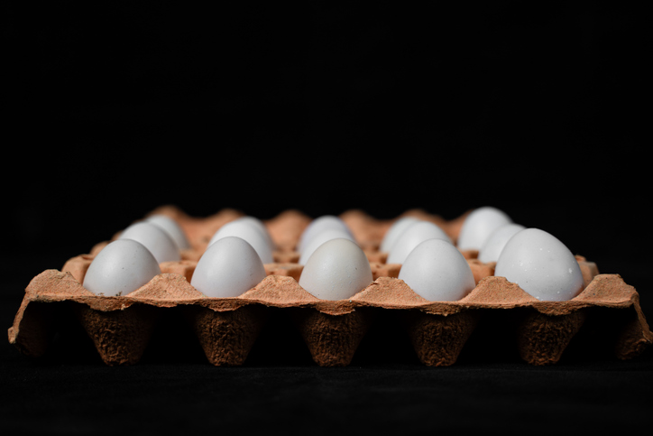 Fresh eggs