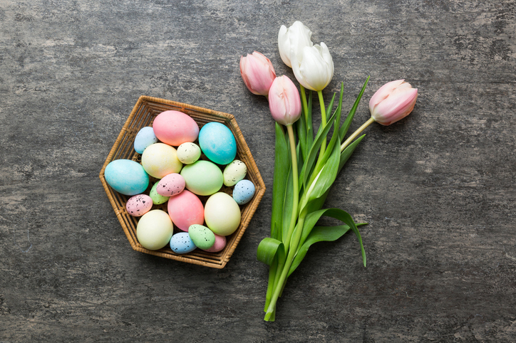 Happy Easter composition. Easter eggs in basket on colored table with yellow Tulips. Natural dyed colorful eggs background top view with copy space
