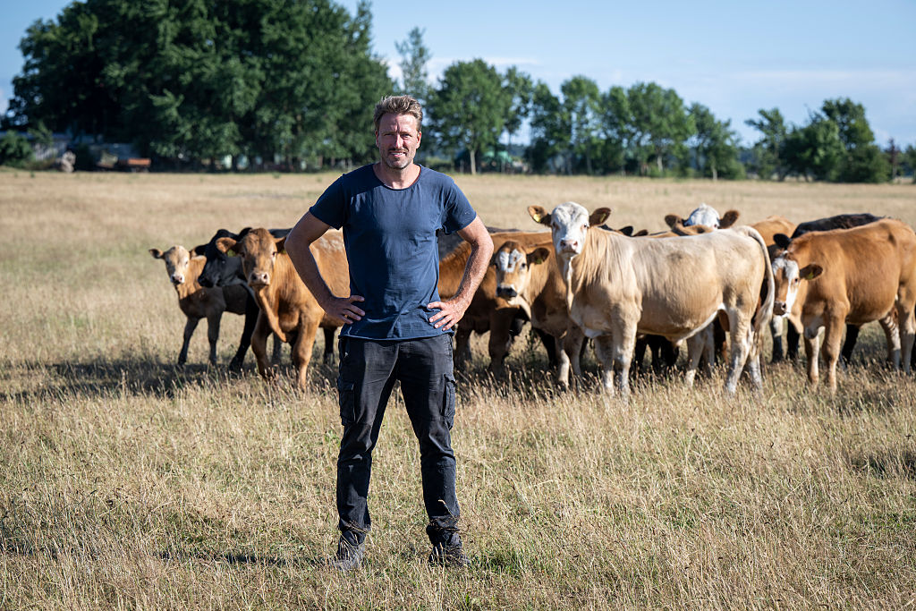 Summer series "Vacation makers"