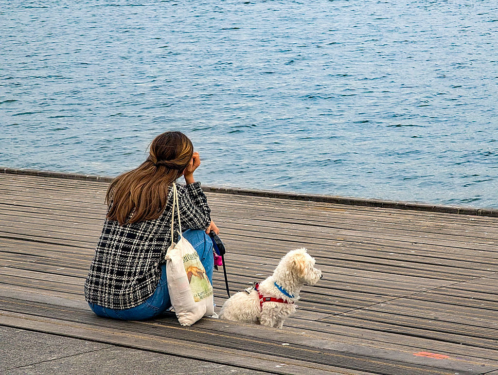 Woman Alone With Dog By City River